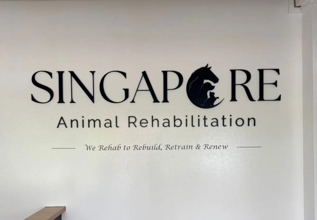 3D acrylic signage were installed on the white walls inside the lobby